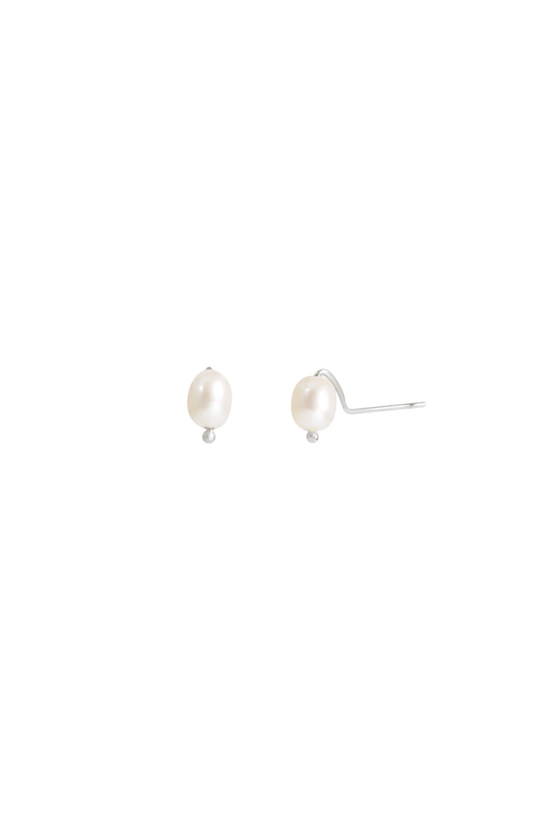 Freshwater Pearl Studs in White Gold